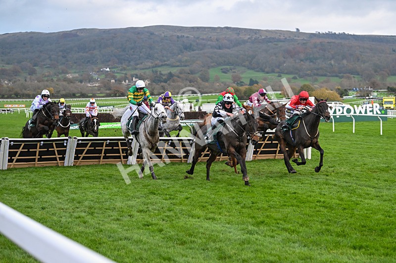 161124-Race 5-Noble Birth-0972 - Race 5