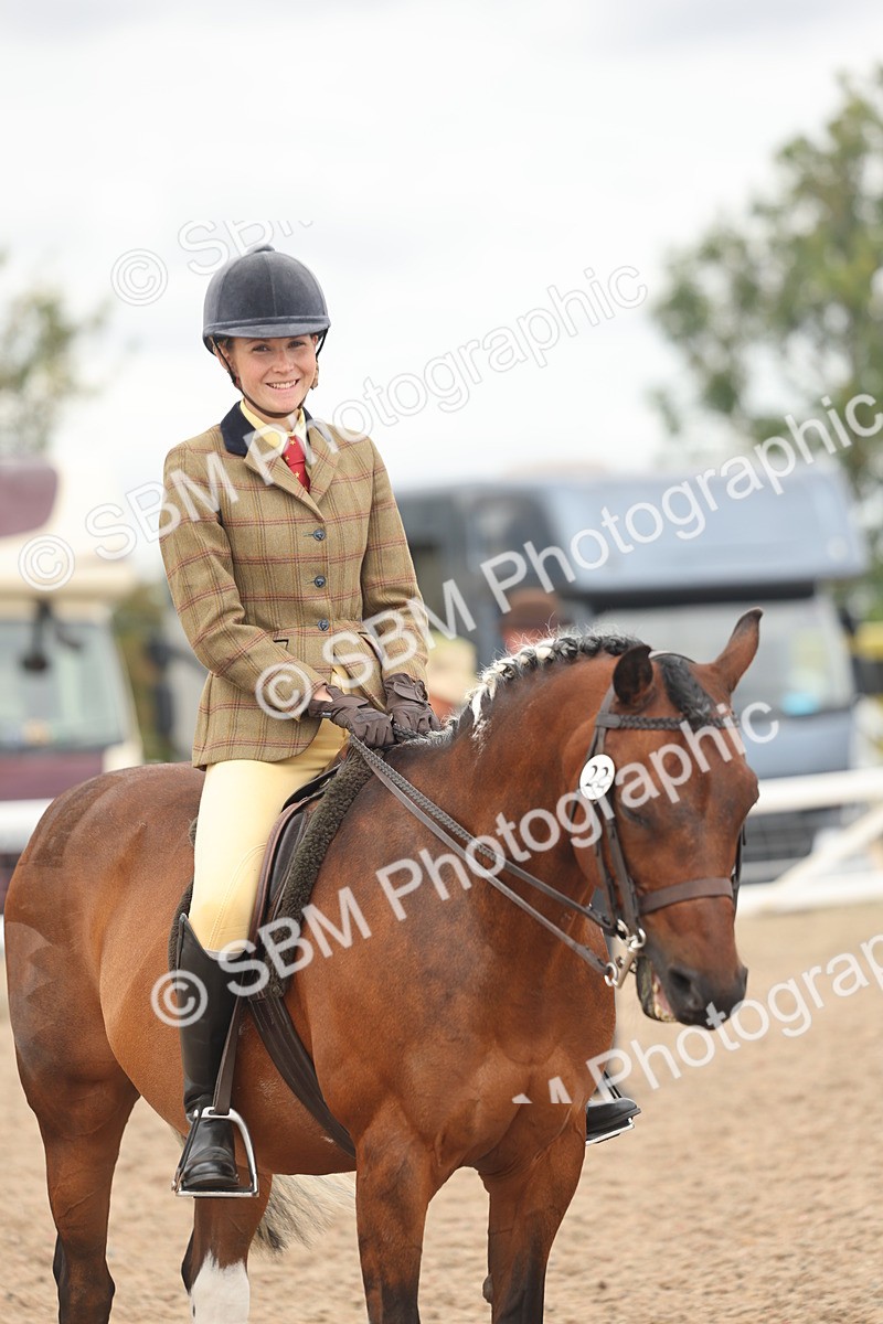 SBM_16025 - Class 311 - Ridden Show pony-Show hunter Pony