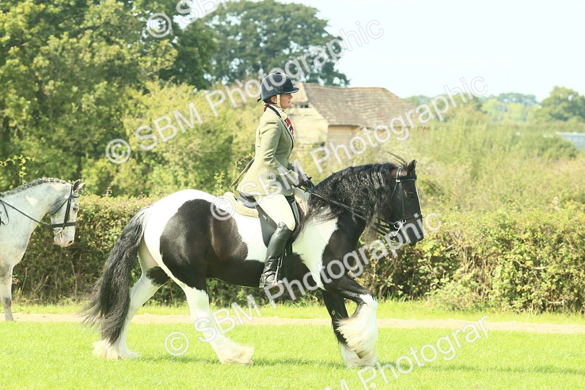 SBM_67460 - S56 - Coloured Pony Ridden