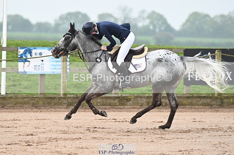 250425-090551-07907 - Cls 46 Ponies - Major Tour