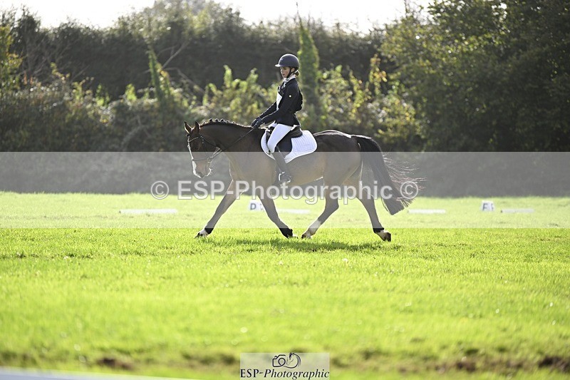 241025-120938-07026 - 375-Erin.Brown-50.SHADES.OF.BAY