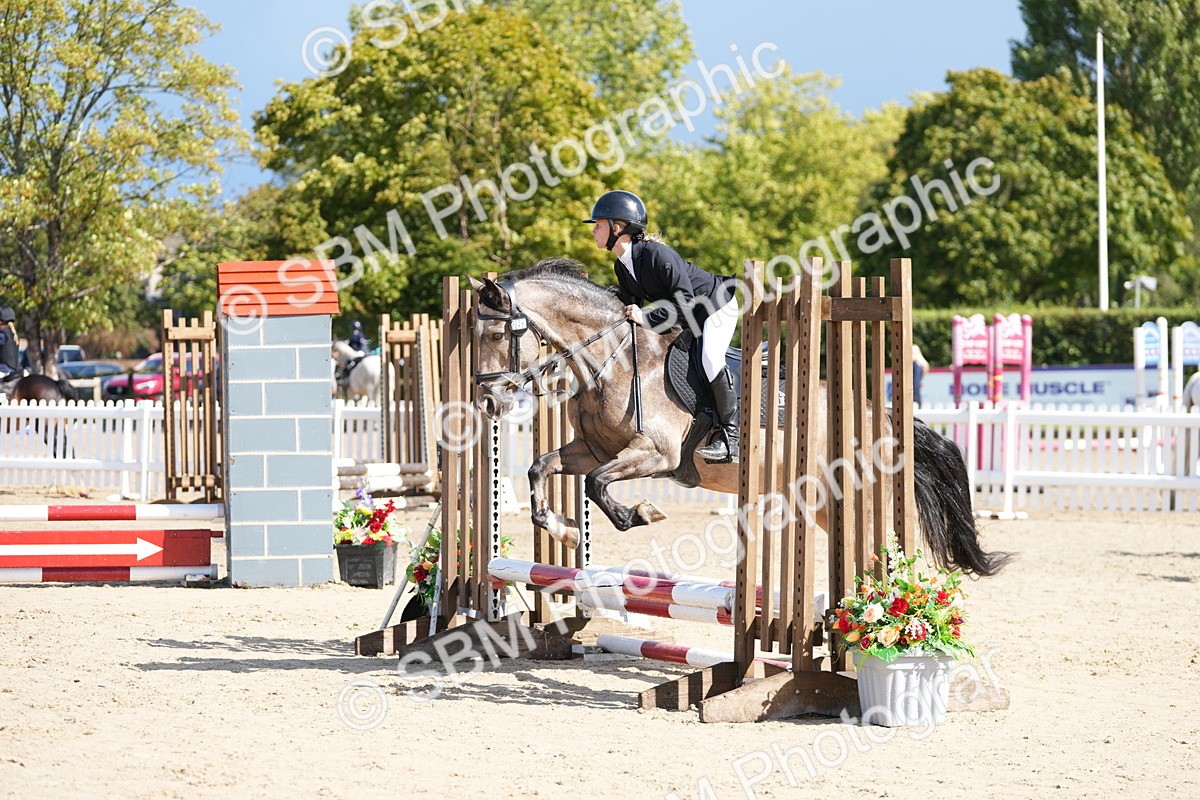 SBM_19803