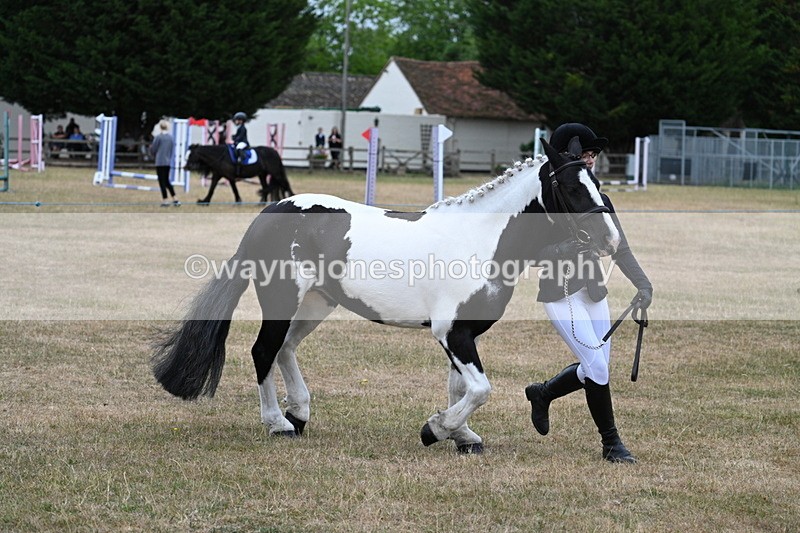 WJ7_8374 - Class 4 Prettiest Mare up to 14.2hh