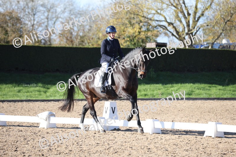 20251102-0981 - Class 5 - Elementary 5