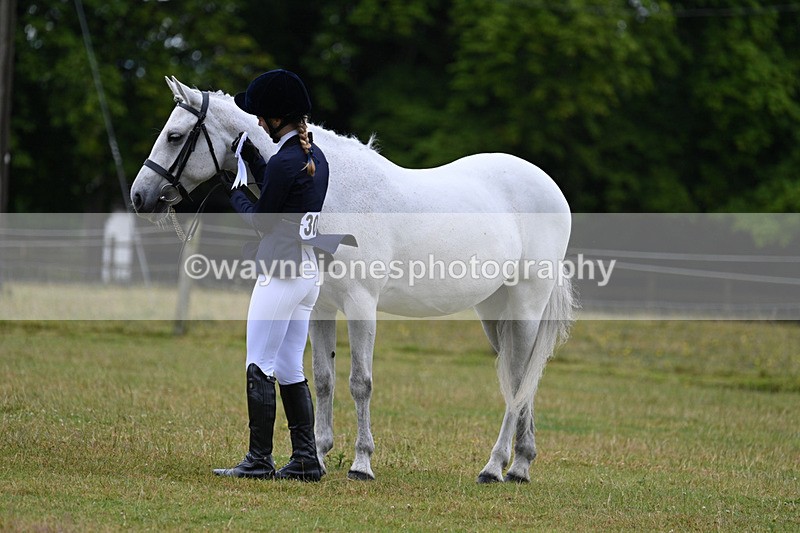 WJ7_6402 - Class 4a Prettiest Mare over 14hh