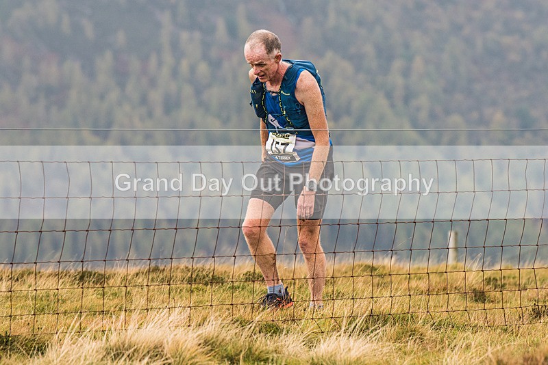 Buttermere-344 - Buttermere Shepherds Meet Fell Race Sunday 29th October 2023