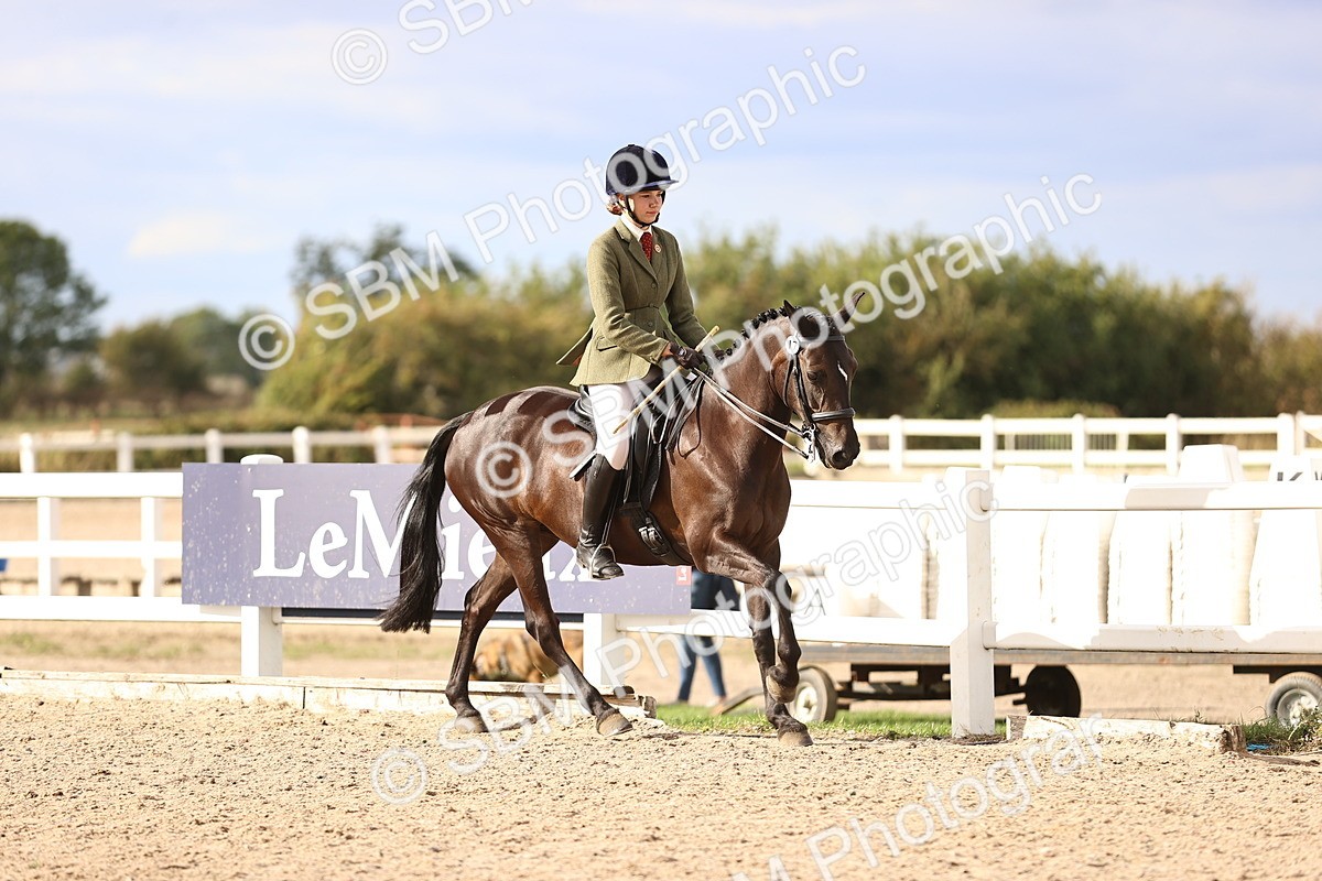 SBM_18166 - Class 423 - Equitation (best rider) Adult