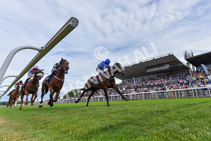 050725-Race 6-Dandys Angel-6209 - Race 6