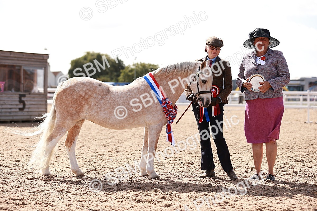 SBM_22920 - Class 706 - IH Veteran