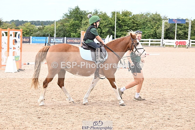 250821B-123601-00419 - Group D - Thomasina