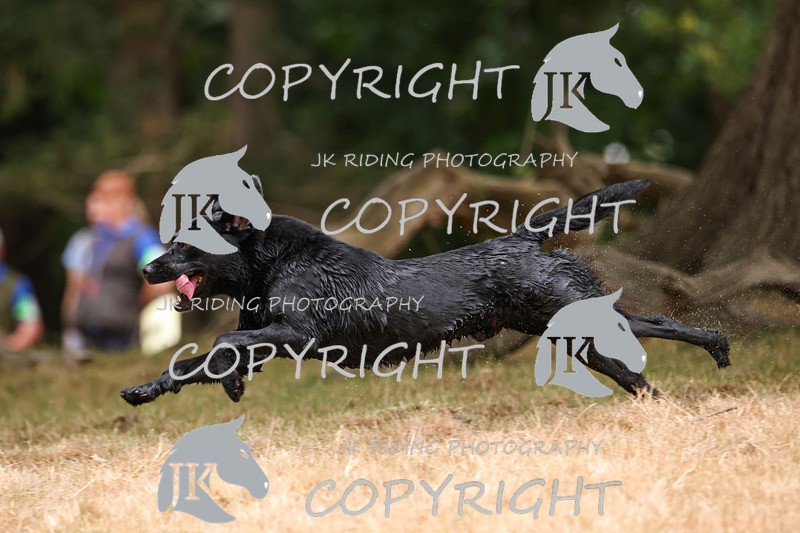 2R6A3497 - ​TEAM A: BORDER COUNTIES & COTSWOLDS 1-2-3
