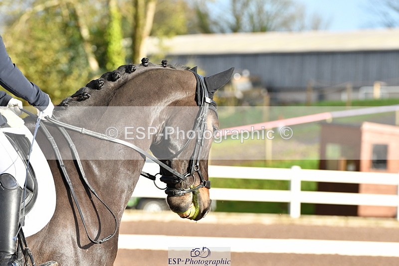 231104A-100630-00041 - Cls 6 Music Novice