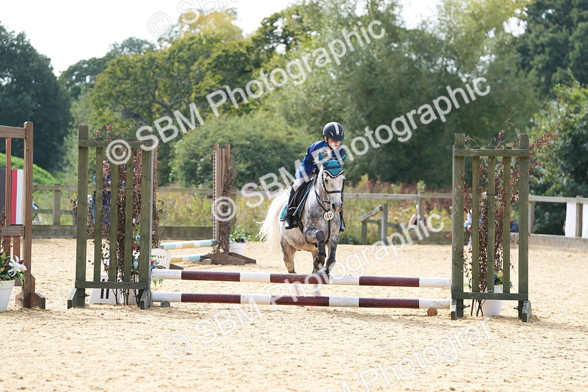 SBM_68310 - J3 - Mini Tour Junior Pony 40cm Championship