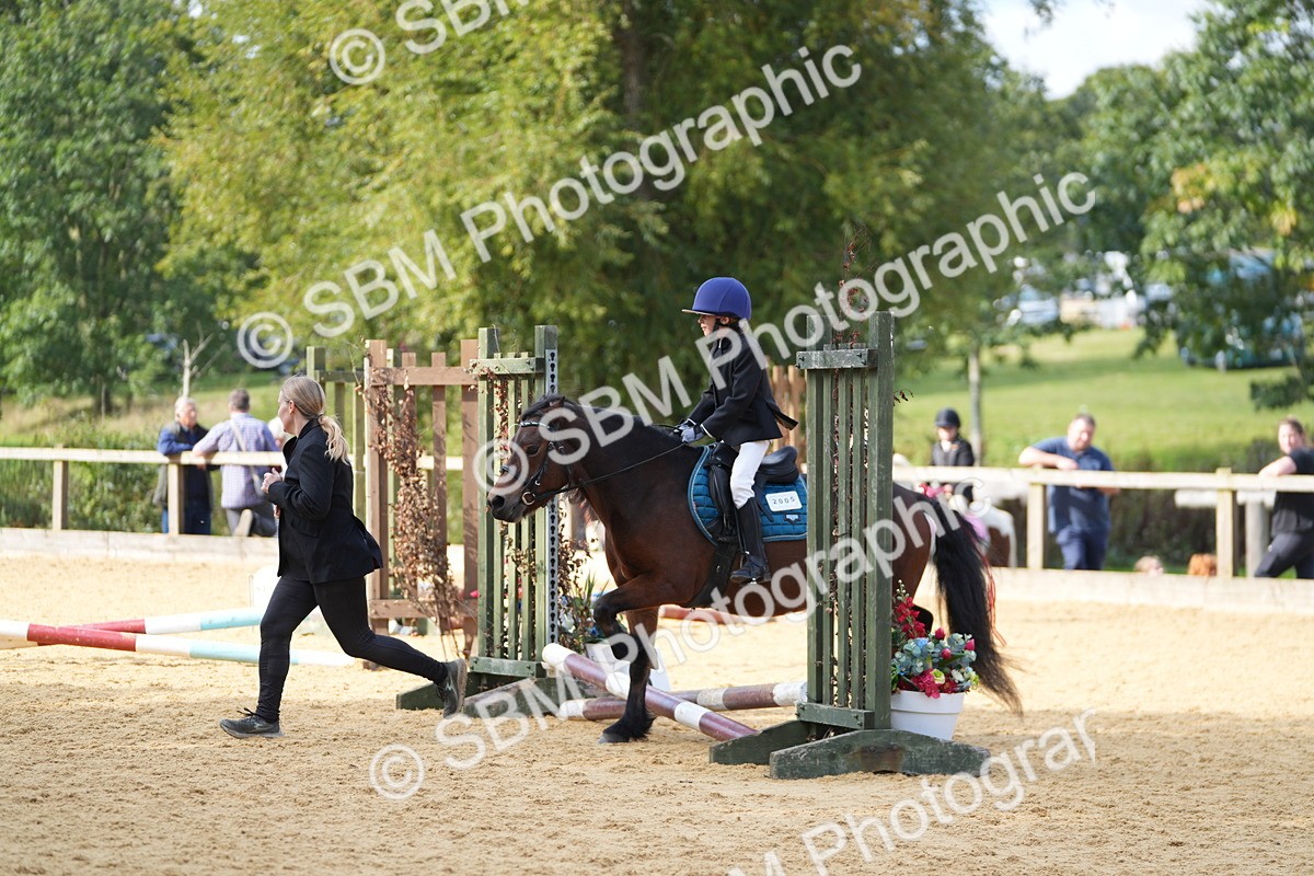 SBM_64330 - J2 - Mini Tour Junior Pony 30cm Championship