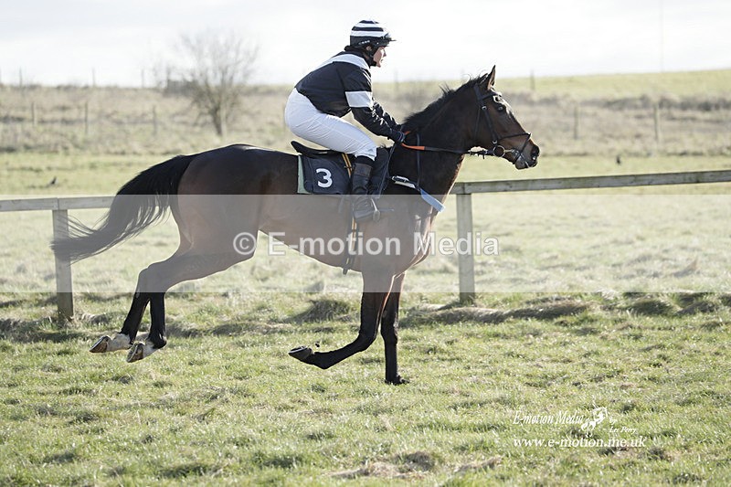 PtP 260223 1143 - South & West Wilts Point-to-Point Larkhill 26/02/23