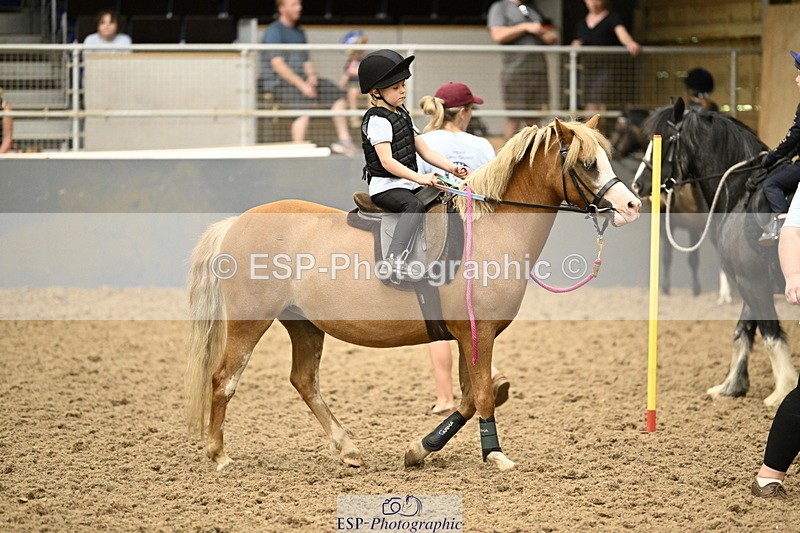 240728B-142558-00531 - Theo and Gemma's Groups Indoor