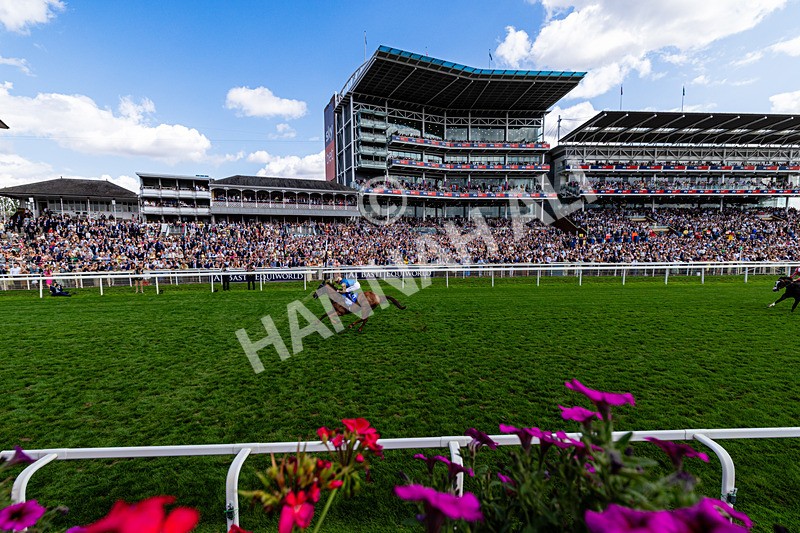 220826-Race 1-Archivist-0195 - Race 1 13.50pm Sky Bet Strensall Stakes