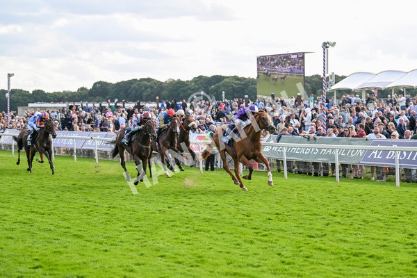230824-Race 6-Angelo Buonarroti-9879 - Race 6 4.45pm British Stallion Studs EBF Convivial Maiden Stakes