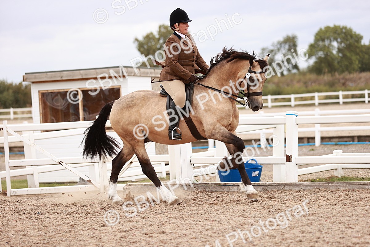 SBM_18972 - Class 422 - Ridden M&M