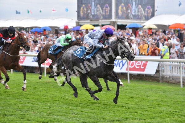 yr23072022r6-35 - Race 6 5.00pm Sky Bet Partnership with Support Dogs Stakes