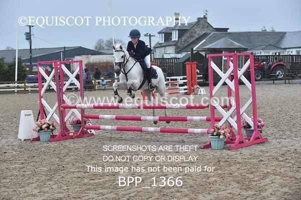 BPP_1366 - CLASS 5 Pony BritiNovice / 0.80m Open