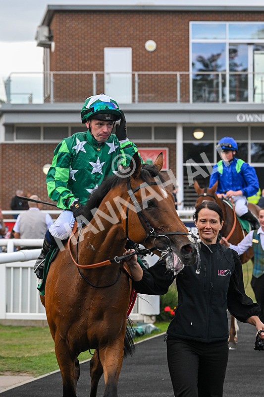 080825-Race 5-Paddy The Squire-2761 - Race 5