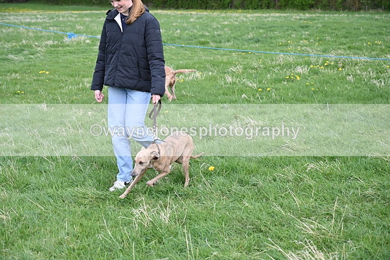 WJ6_8129 - Class 2 Best Pedigree