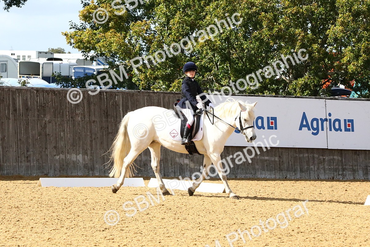 SBM_24435 - D5 - Small Tour Championshop Intro 2