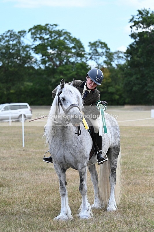 WJ7_5722 - Class 12 Ridden Cob