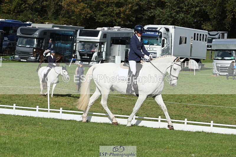 251024A-133020-12589 - H-651-Victoria.Tar