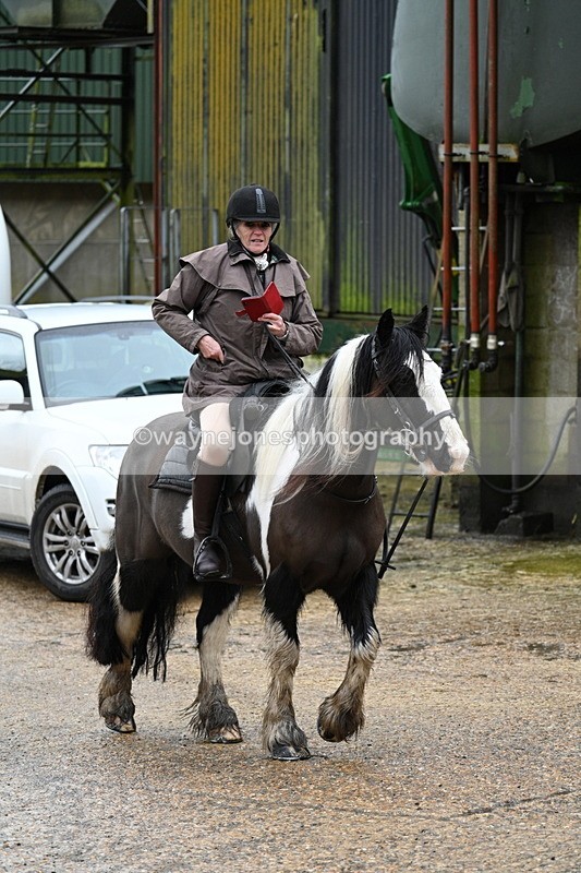 WJ7_8757 - Berks & Bucks - Rowles Farm 15-02-26