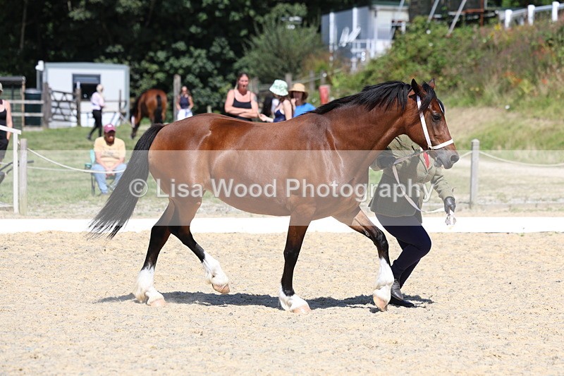 3E7A9549 - Class 32: Best Grass Kept