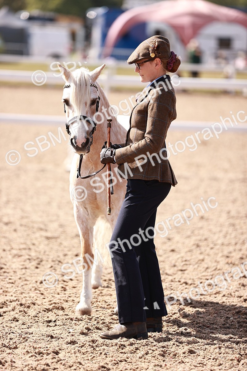 SBM_22917 - Class 706 - IH Veteran