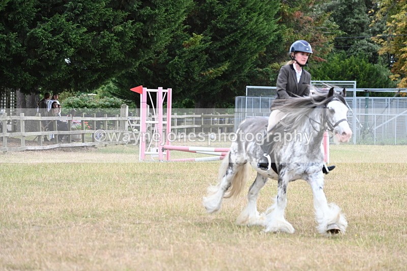 WJ6_9647 - Class 12 Minimus Jumping 45cm