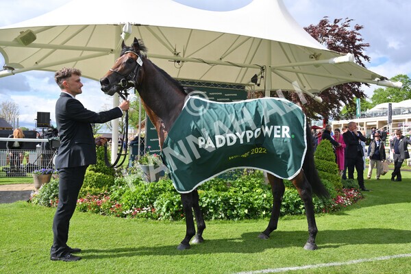 yr11052022r5-36 - Race 5 4.10pm Paddy Power 'Here For The Craic' Stakes