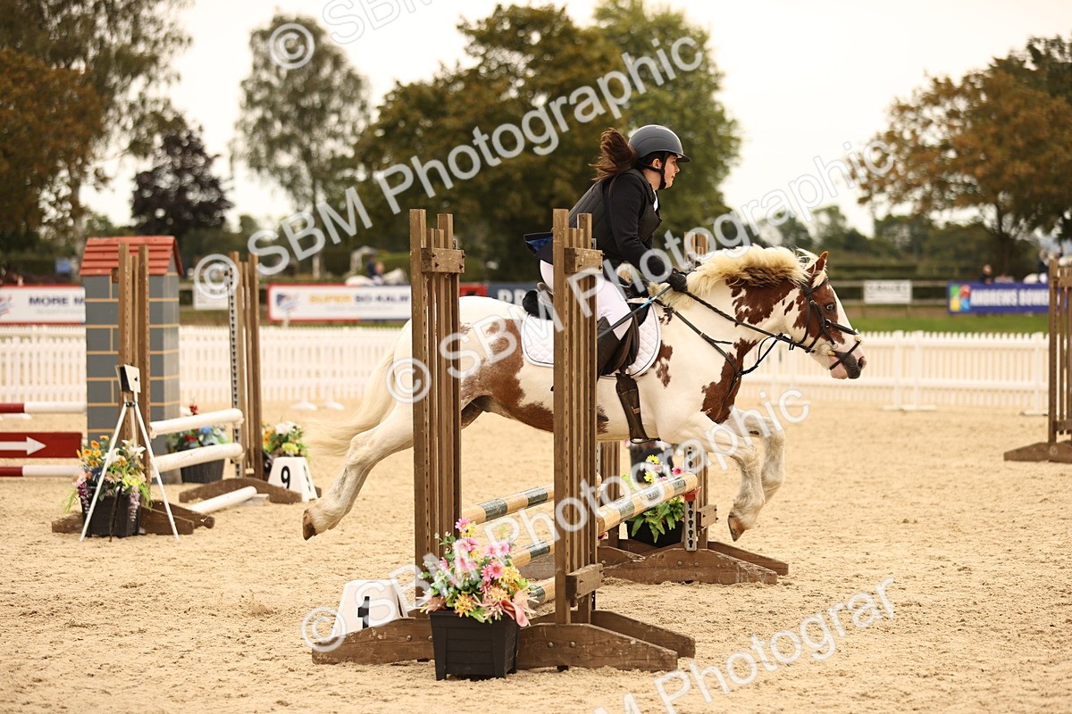 SBM_72617 - J14 - Junior Pony 65cm Championship