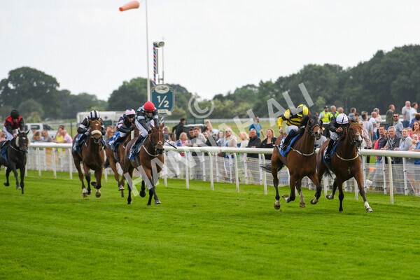 yr10062022r7-11 - Race 7 5.10pm Andy Thornton Hospitality Furniture Stakes