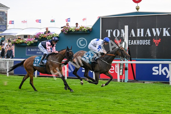 250725-Race 4-Dicko The Legend-5945 - Race 4 7.13pm Tomahawk Restaurants Handicap
