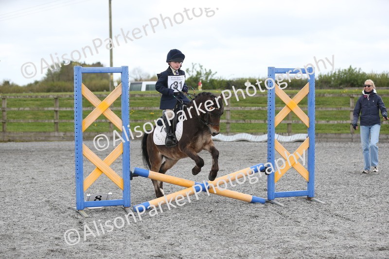 20260412-0172 - Show Jumping