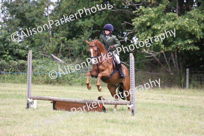 20260614-1853 - Class 21 - Novice Working Hunter Pony