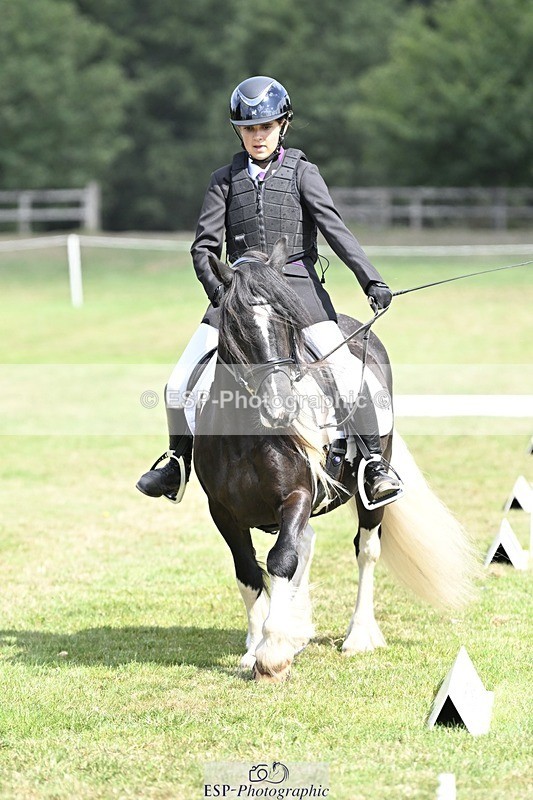 250821A-114232-15293 - DR 11.00 to 12.00