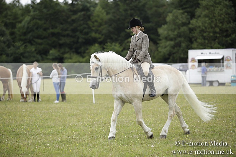 BVR160717-1533 - Ring 1 BVRC Show 16/07/17