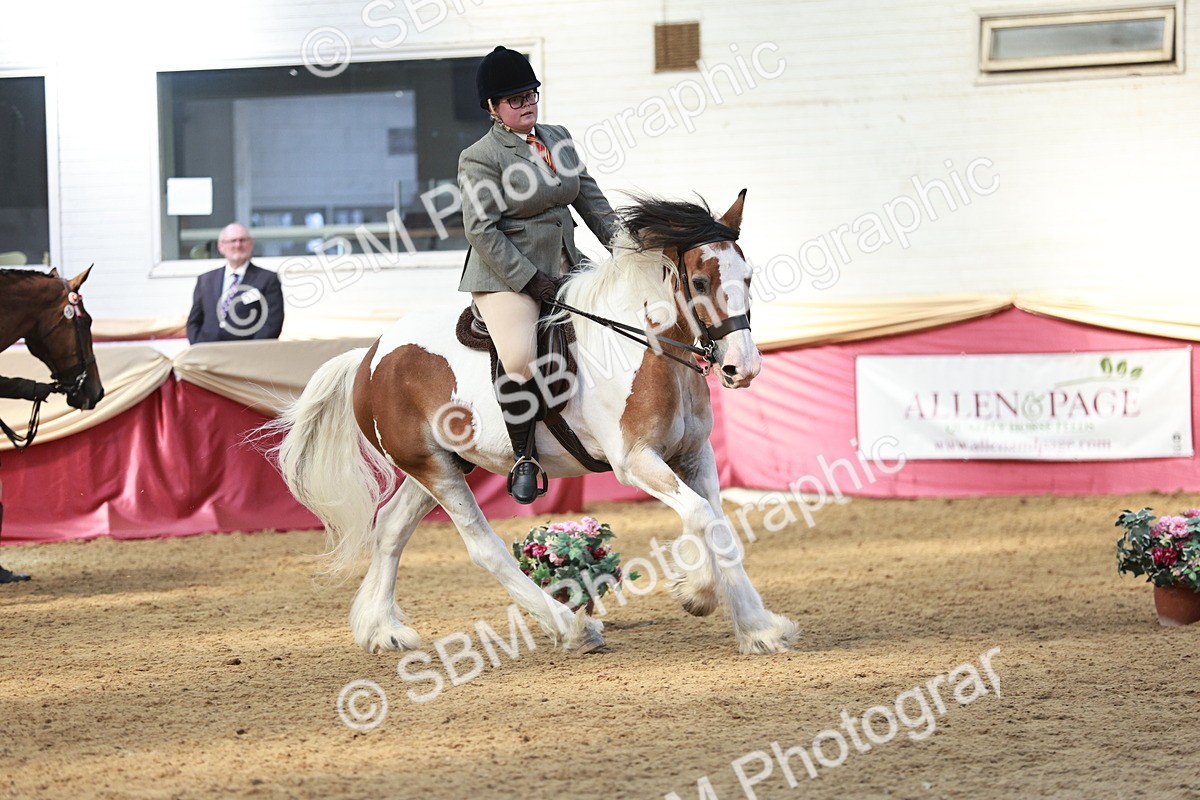 SBM_07109 - Class 10R - Regional Ridden Diamond