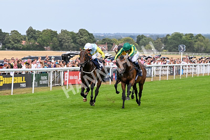 280726-Race 4-Vega King-0930 - Race 4 15.20pm 30 Years Of The Hurn Racing Club EBF Novice Stakes