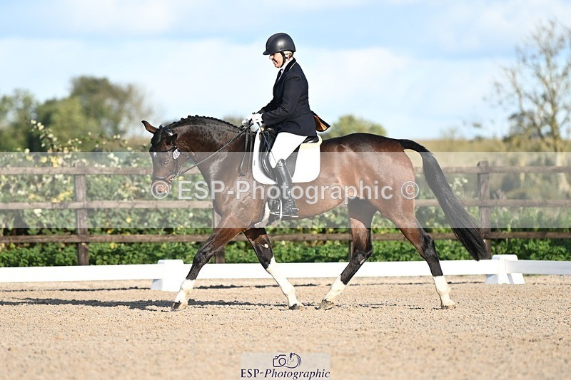 231105-142017-02337 - Cls 5 Novice 27 Start to 15.30 break