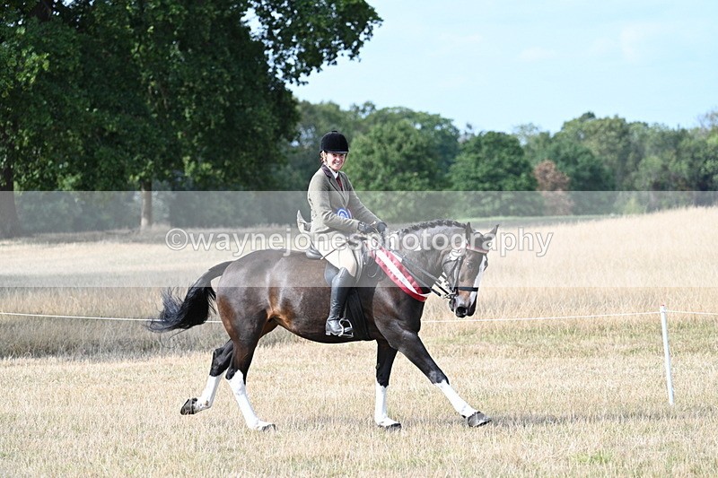 WJ7_7868 - Ridden Championship