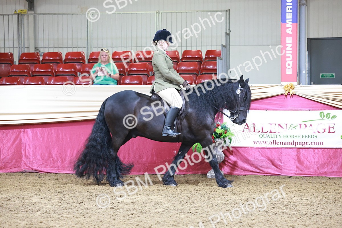 SBM_11789 - Class 102 - Equitation (Best Rider) Adult