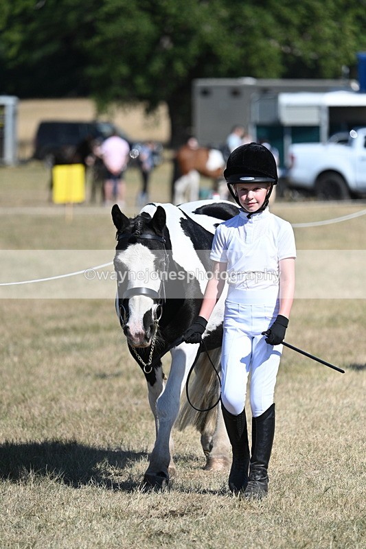 WJ7_1792 - Class 43 Best Six Legs (In hand)
