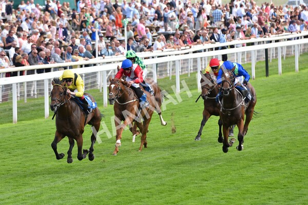 yr08072022r4-23 - Race 4 3.50pm William Hill Pick Your Places Stakes