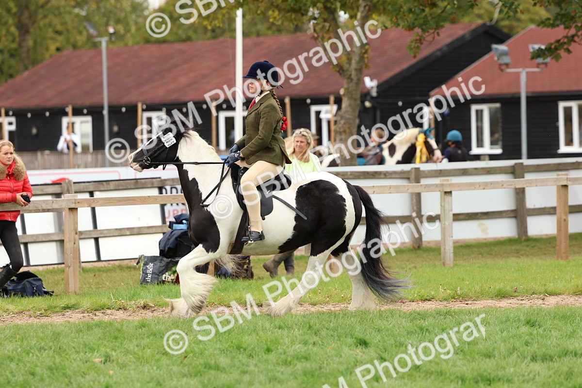 SBM_64517 - S58 - Coloured Pony Ridden
